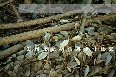 因网贷逾期信用卡开始被冻结了 因网贷逾期信用卡开始被冻结了