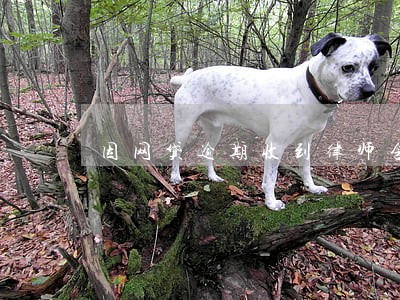 因网贷逾期收到律师含 因网贷逾期收到律师含