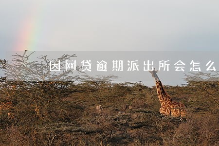 因网贷逾期派出所会怎么样 因网贷逾期派出所会怎么样