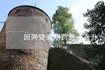 因网贷逾期罚息一直升 因网贷逾期罚息一直升