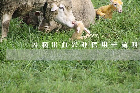 因脑出血兴业信用卡逾期怎么办 因脑出血兴业信用卡逾期怎么办