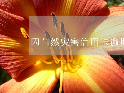 因自然灾害信用卡逾期