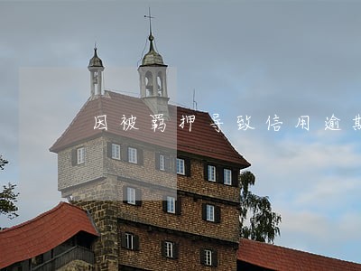 因被羁押导致信用逾期 因被羁押导致信用逾期