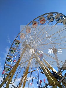 因被骗签贷款产生的逾期 因被骗签贷款产生的逾期