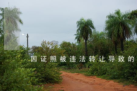 因证照被违法转让导致的侵权 因证照被违法转让导致的侵权