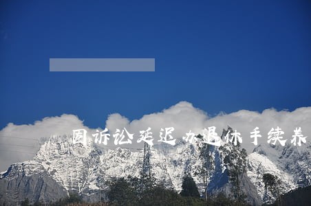 因诉讼延迟办退休手续养老金 因诉讼延迟办退休手续养老金