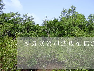 因贷款公司造成征信逾期 因贷款公司造成征信逾期