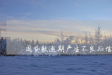 因贷款逾期产生不良征信记录 因贷款逾期产生不良征信记录