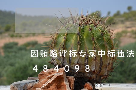 因贿赂评标专家中标违法/2023020484098 因贿赂评标专家中标违法/2023020484098