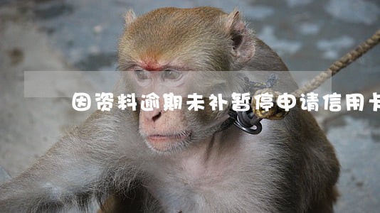因资料逾期未补暂停申请信用卡 因资料逾期未补暂停申请信用卡