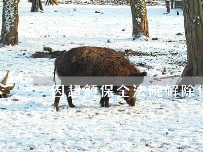 因超额保全法院解除保全裁定 因超额保全法院解除保全裁定