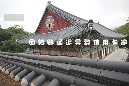 因转账延迟导致信用卡逾期 因转账延迟导致信用卡逾期