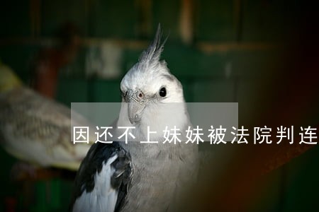 因还不上妹妹被法院判连带还债