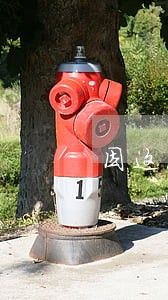 因这次疫情逾期末2天还的 因这次疫情逾期末2天还的
