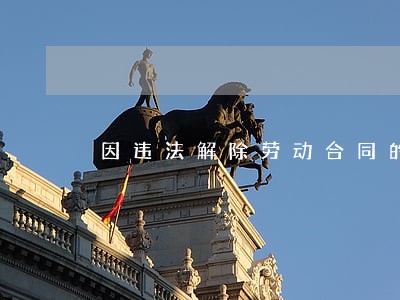 因违法解除劳动合同的赔偿金