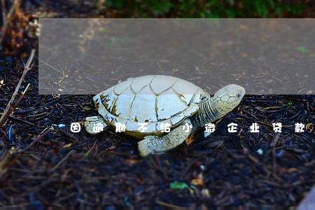 因逾期不给小微企业贷款 因逾期不给小微企业贷款