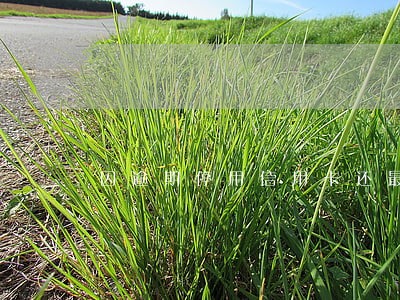 因逾期停用信用卡还最低 因逾期停用信用卡还最低