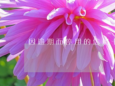 因逾期而停用的信用卡还能开吗 因逾期而停用的信用卡还能开吗