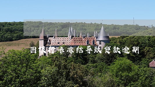 因银行卡冻结导致贷款逾期