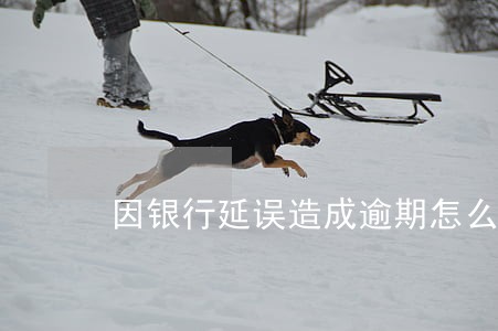 因银行延误造成逾期怎么办 因银行延误造成逾期怎么办