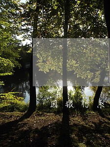 因银行系统原因导致留位费逾期 因银行系统原因导致留位费逾期