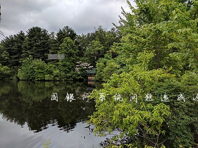 因银行系统问题造成还款逾期 因银行系统问题造成还款逾期