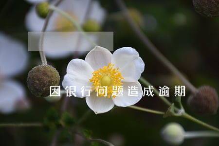 因银行问题造成逾期 因银行问题造成逾期