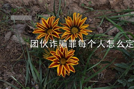团伙诈骗罪每个人怎么定罪 团伙诈骗罪每个人怎么定罪