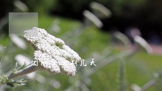 团网贷逾期几天 团网贷逾期几天