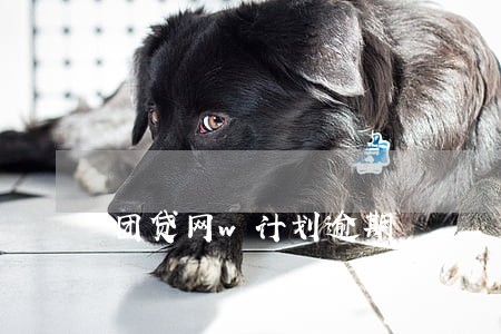 团贷网w计划逾期 团贷网w计划逾期