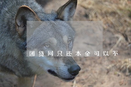 团贷网只还本金可以不 团贷网只还本金可以不