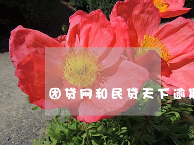 团贷网和民贷天下逾期 团贷网和民贷天下逾期