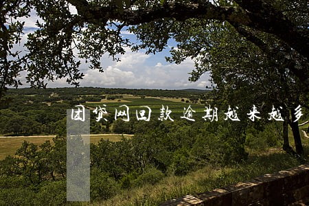 团贷网回款逾期越来越多