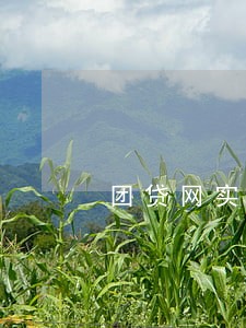 团贷网实际逾期多少天 团贷网实际逾期多少天
