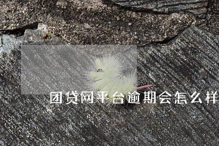 团贷网平台逾期会怎么样 团贷网平台逾期会怎么样