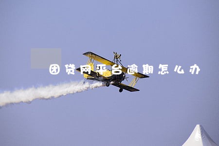 团贷网平台逾期怎么办 团贷网平台逾期怎么办