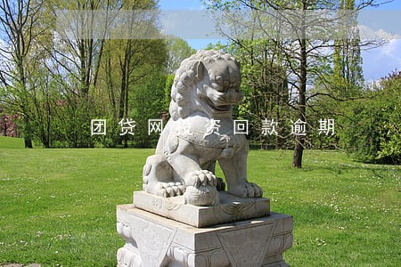 团贷网投资回款逾期 团贷网投资回款逾期