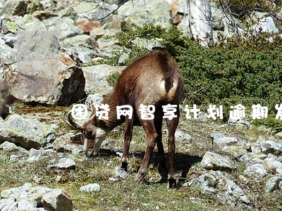 团贷网智享计划逾期发起人 团贷网智享计划逾期发起人