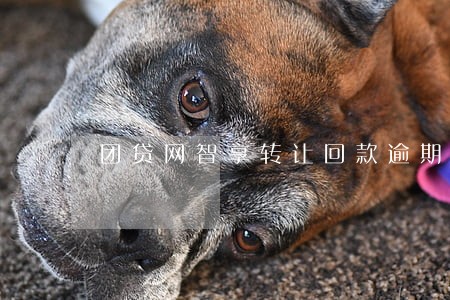 团贷网智享转让回款逾期
