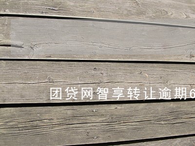 团贷网智享转让逾期6 团贷网智享转让逾期6