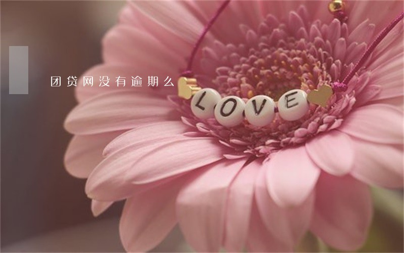 团贷网没有逾期么