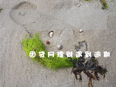 团贷网理财遇到逾期 团贷网理财遇到逾期