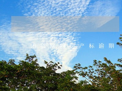 团贷网的资产标逾期 团贷网的资产标逾期