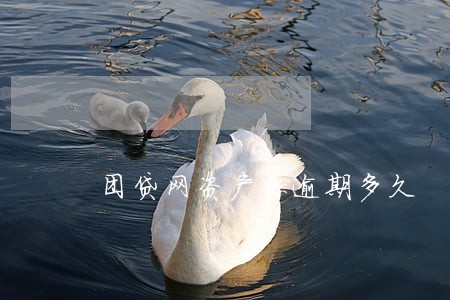 团贷网资产标逾期多久 团贷网资产标逾期多久