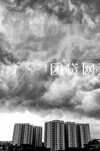 团贷网还不了款逾期怎么办