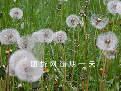 团贷网逾期一天 团贷网逾期一天