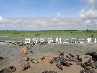 团贷网逾期上门会怎样 团贷网逾期上门会怎样