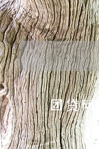 团贷网逾期两年 团贷网逾期两年