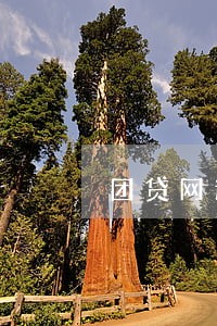 团贷网逾期了 团贷网逾期了
