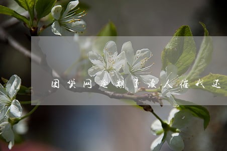 团贷网逾期了没人催我还款 团贷网逾期了没人催我还款